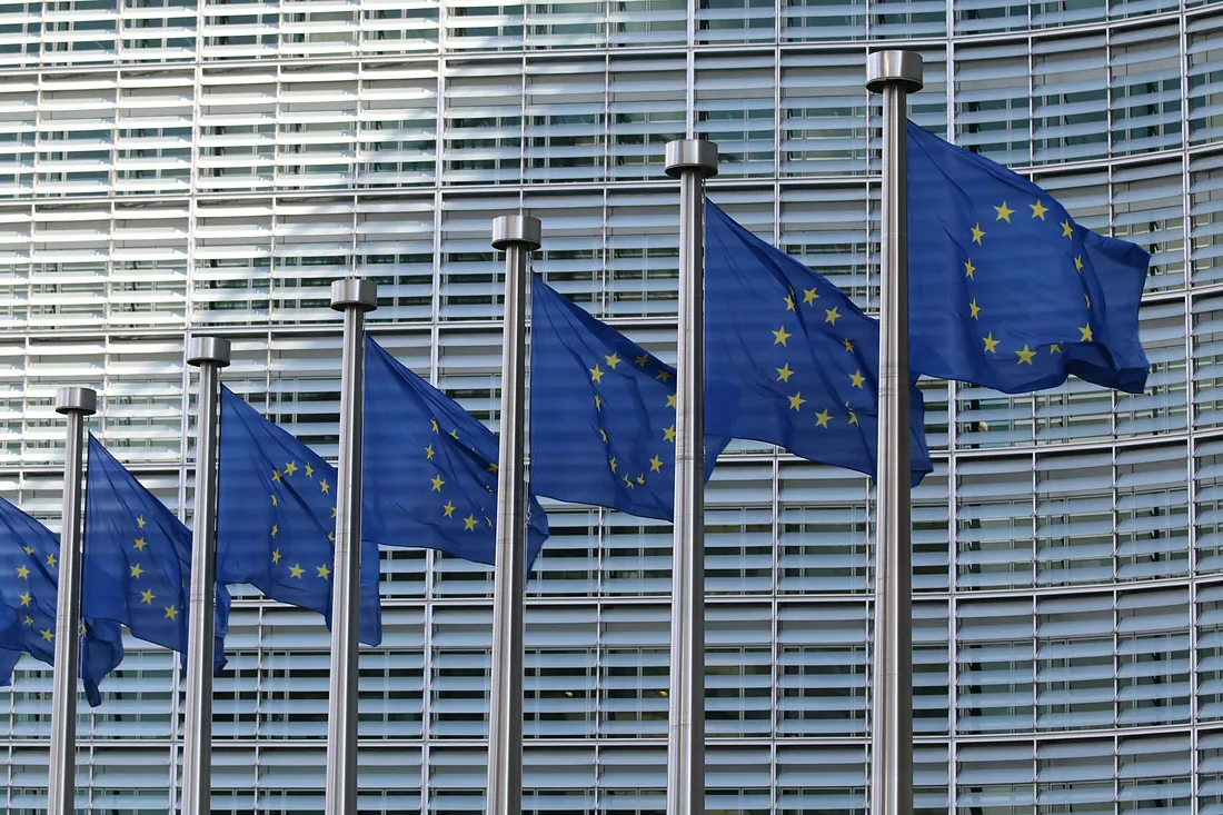 European Union flags - international clients European Union flags - international clients